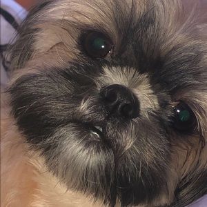 Meet your Posher, Julianna